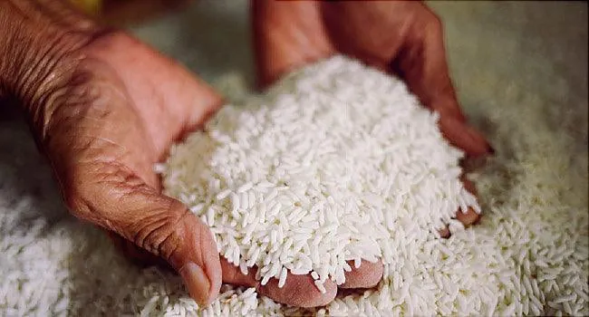 How to Clean Coffee Grinder With Rice in 15 Minutes Pouring dry white rice into a coffee grinder hopper for routine maintenance.